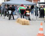 images/38 Jahre/IMG_8740.jpg